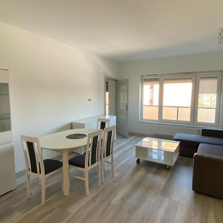 Aparts For You Premium VII Centrum Marrow 2 Apartman Stary Toruń Kültér fotó